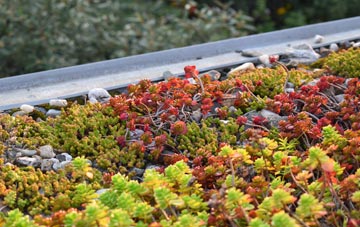 the cost of Manod green roof installation