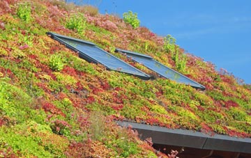 Manod living roof systems