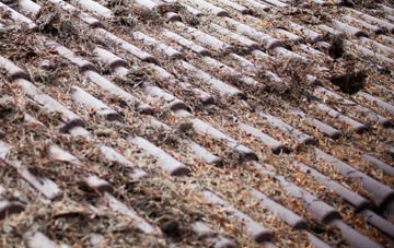 Manod roof cleaning companies